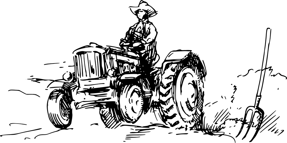 Nguyen Farms Ltd